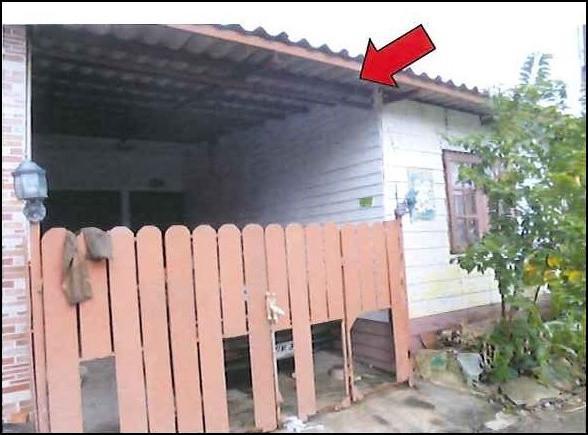 ตะเคียนเตี้ย บางละมุง ชลบุรี