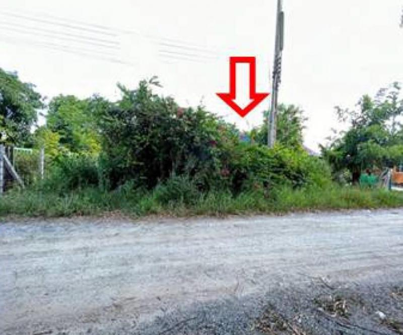 หนองหงษ์ พานทอง ชลบุรี