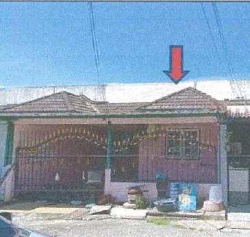 ตะเคียนเตี้ย บางละมุง ชลบุรี
