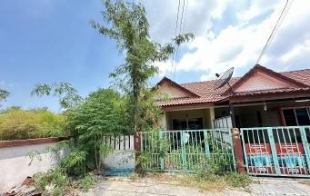 หนองตำลึง พานทอง ชลบุรี