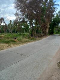 ขายที่ดินว่างเปล่า