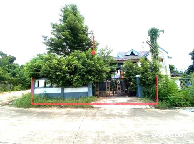 ตะเคียนเตี้ย บางละมุง ชลบุรี