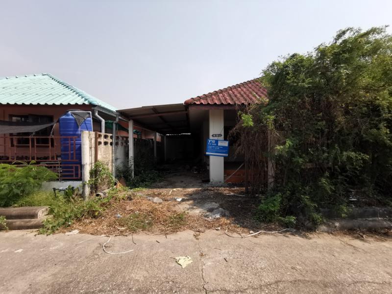 ตะเคียนเตี้ย บางละมุง ชลบุรี